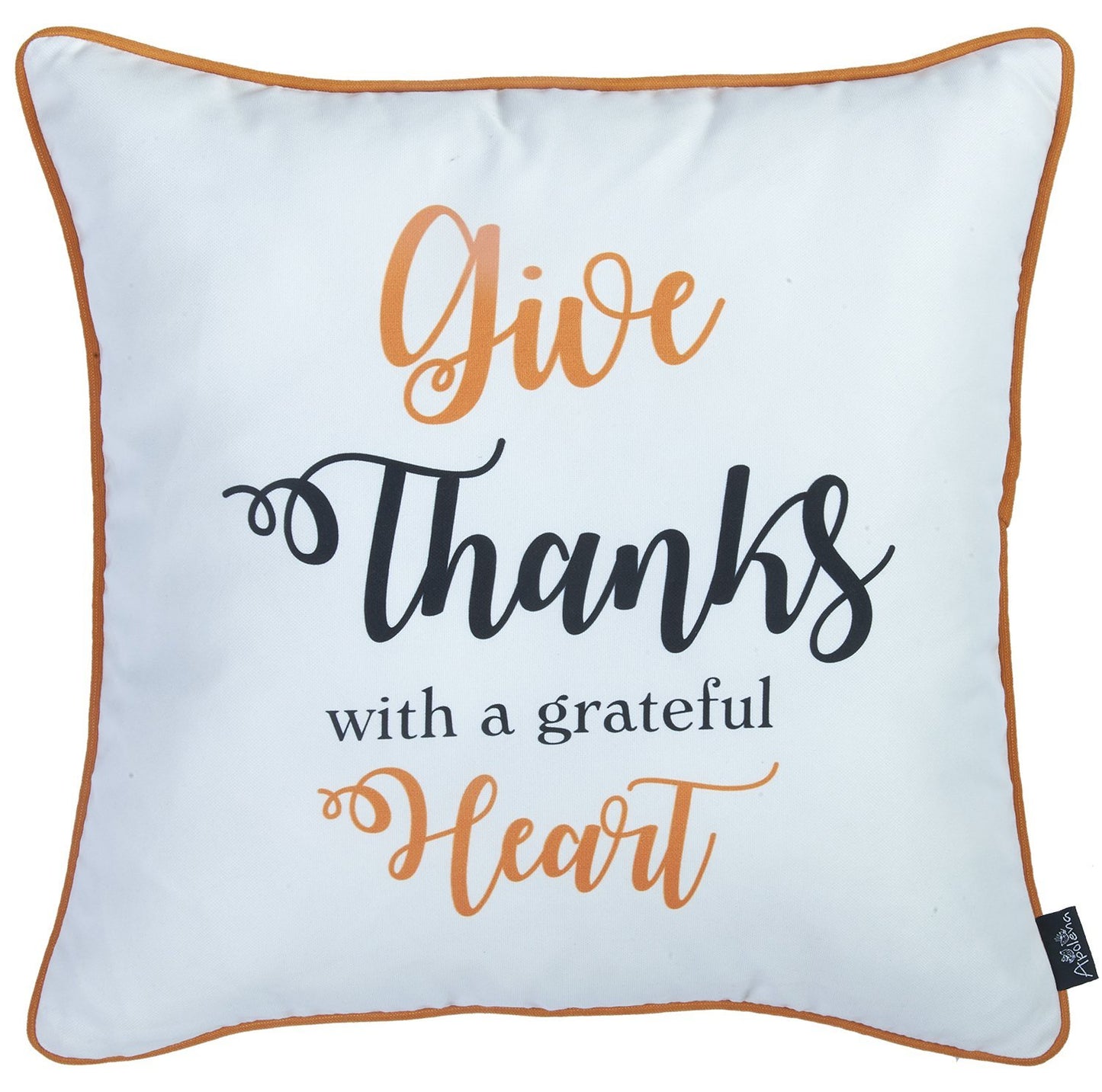 Set of 2 18inches Thanksgiving Pumpkin Spice Square Throw Pillow Cover
