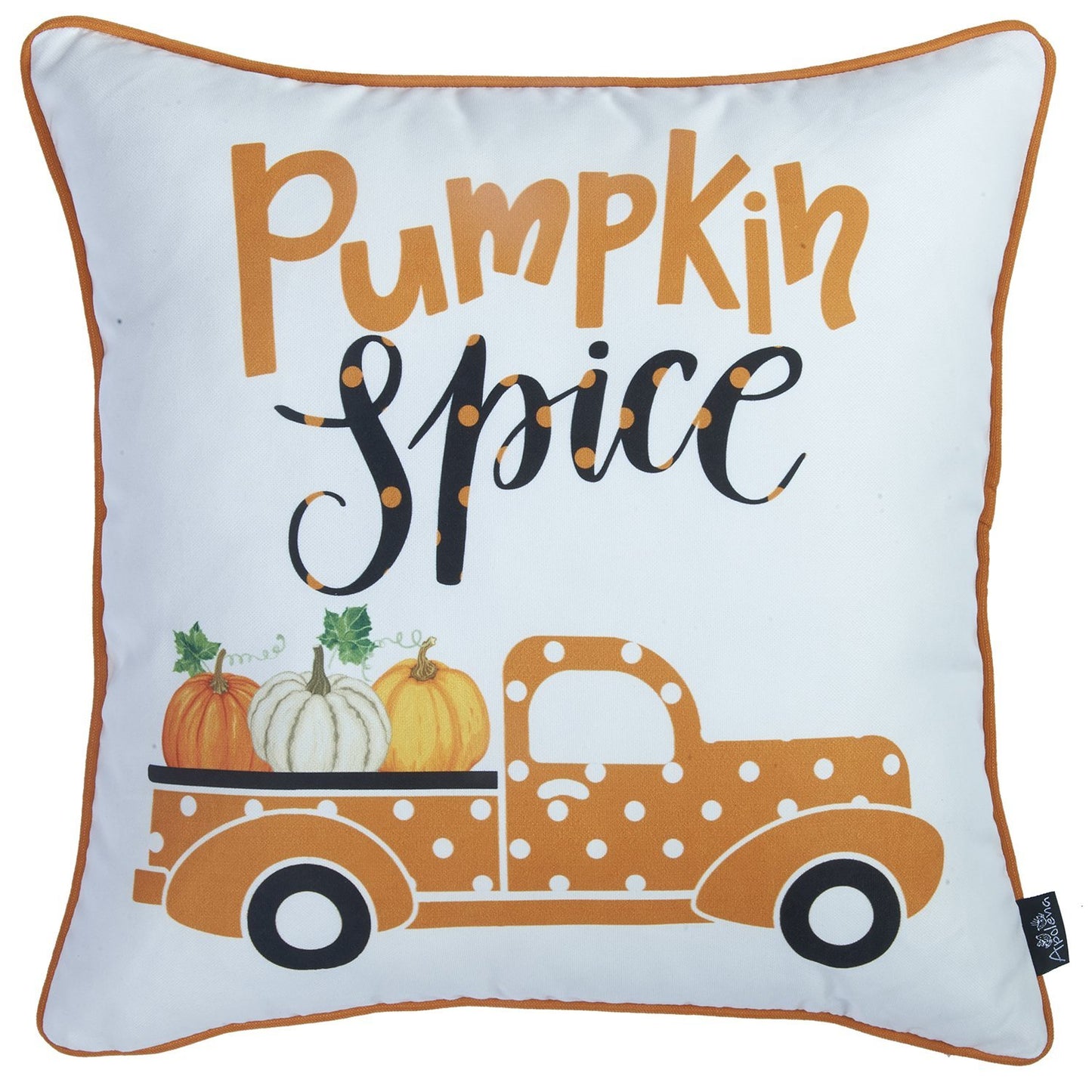 Set of 2 18inches Thanksgiving Pumpkin Spice Square Throw Pillow Cover
