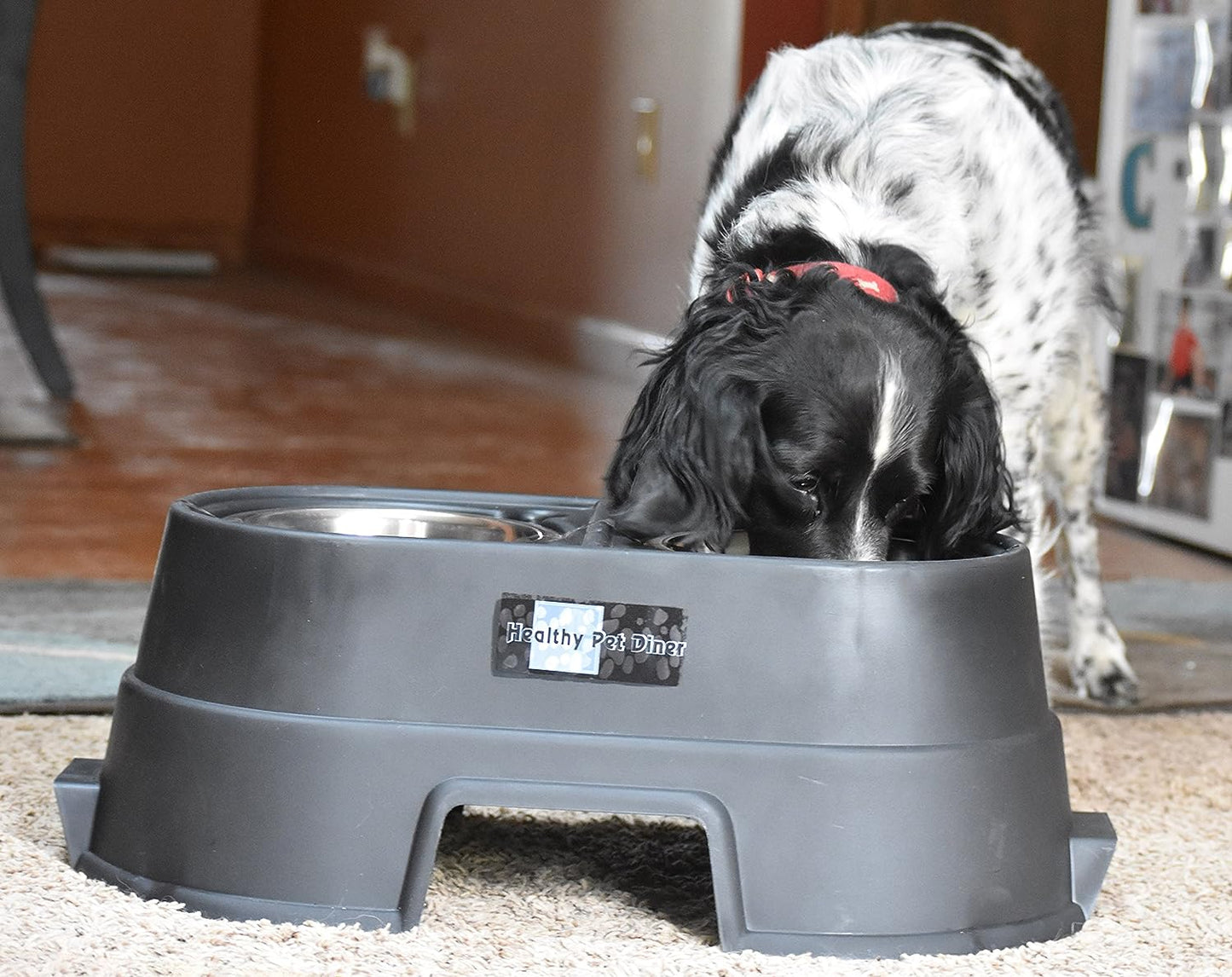 Elevated Dog Food Dish: Comfortable Mealtime | Perfect for Large, Medium & Small Dogs | Choose from 4, 8, or 12 Inches | Stylish Design for Happier Feeding!