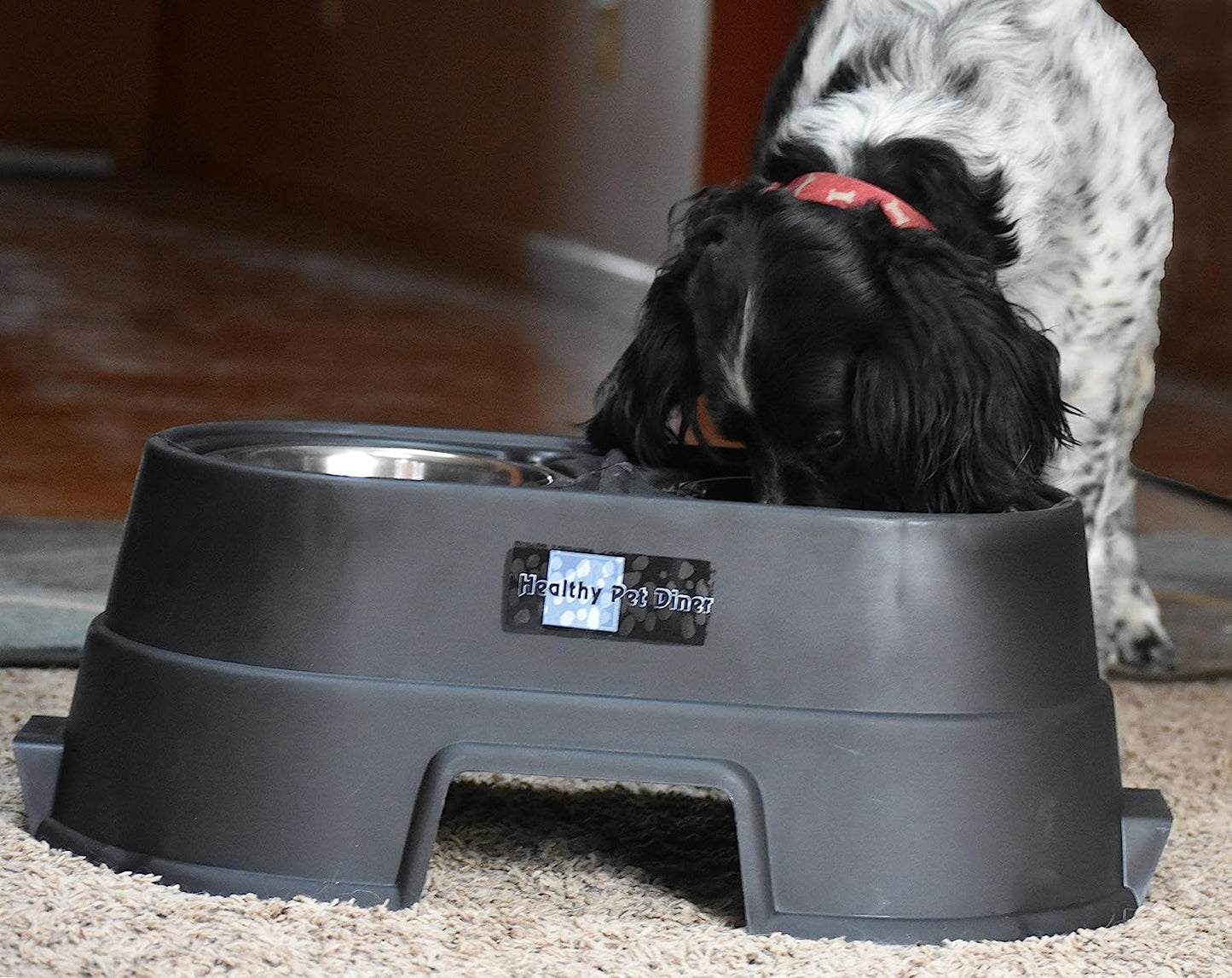 Elevated Dog Food Dish: Comfortable Mealtime | Perfect for Large, Medium & Small Dogs | Choose from 4, 8, or 12 Inches | Stylish Design for Happier Feeding!