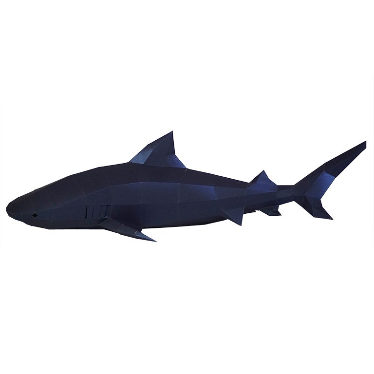 Tiger Sharks 3D Wall Art & Decor